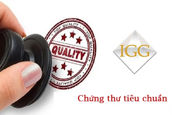 Mẫu chứng thư kiểm định chuẩn với đầy đủ thông tin kỹ thuật