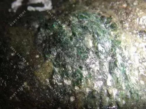 Hoa thông dạng mì kiều mạch phủ bề mặt