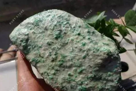 Hoa thông dạng chấm rải rác