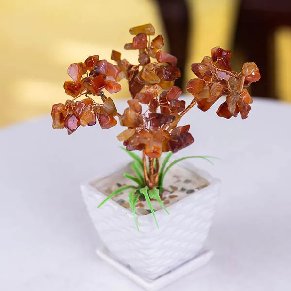 Cây đá thạch anh đỏ mang lại may mắn