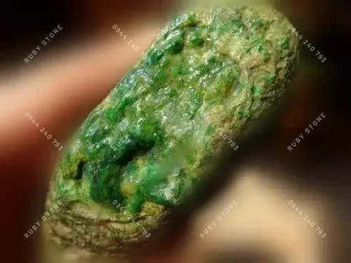 Hoa thông dạng bách hợp hiếm gặp