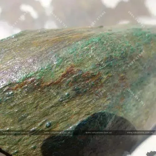 Hoa thông dạng sọc dọc trên vỏ đá