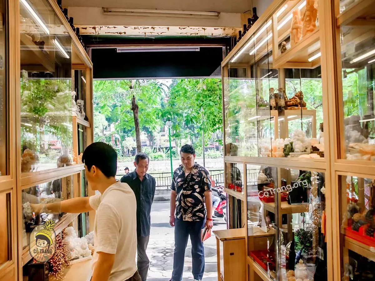 ÄÃ¡ Phong Thuá»· MADA -Â 380 P. TÃ¢y SÆ¡n