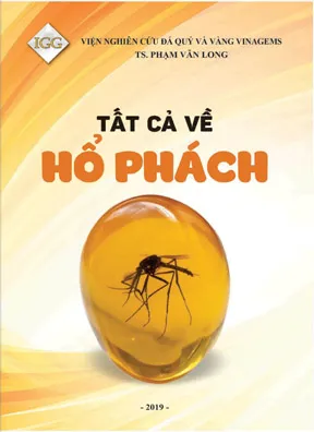 Bìa sách Tất Cả Về Hổ Phách