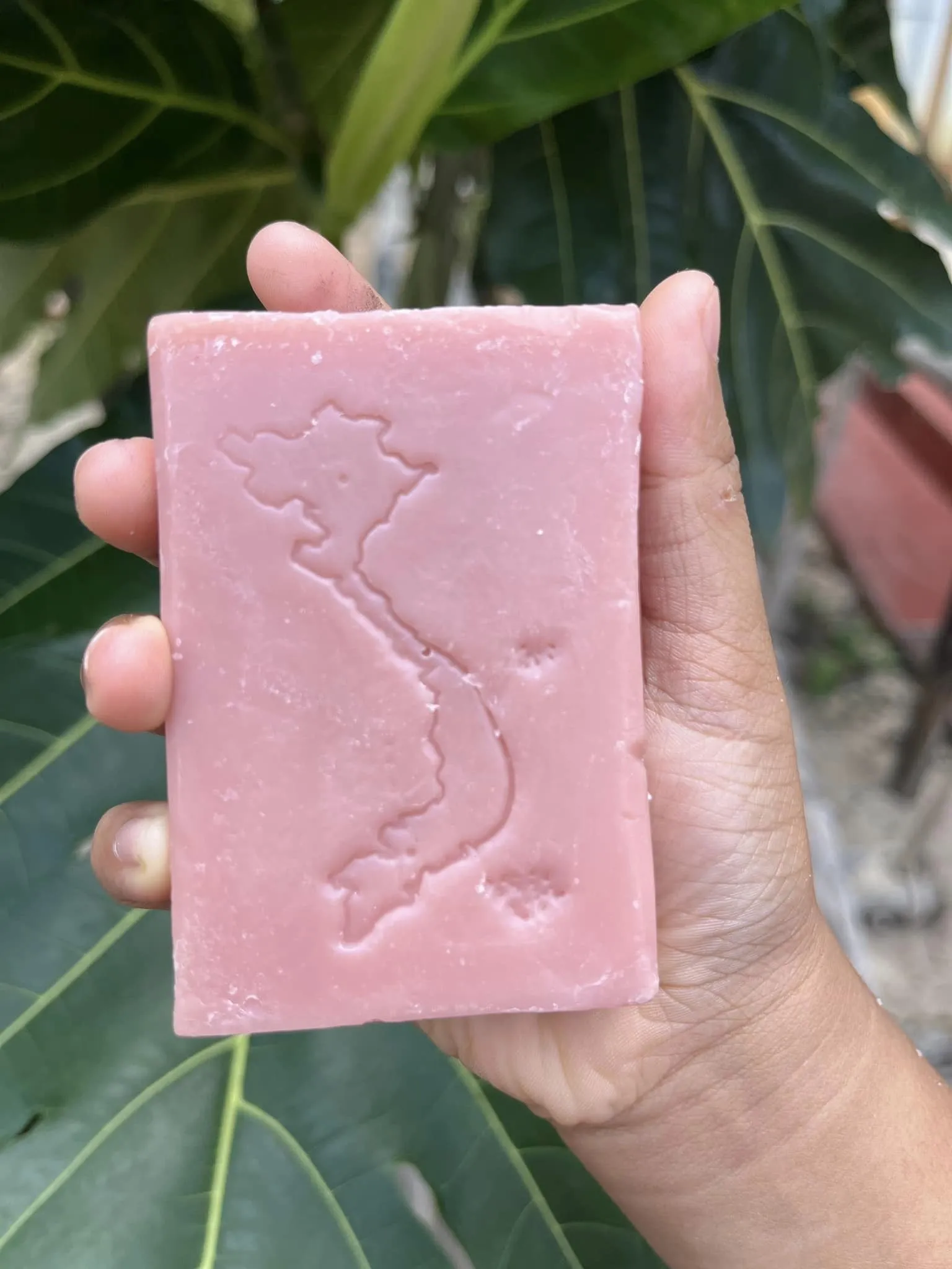 Quy cách đóng gói xà bông dầu mù u