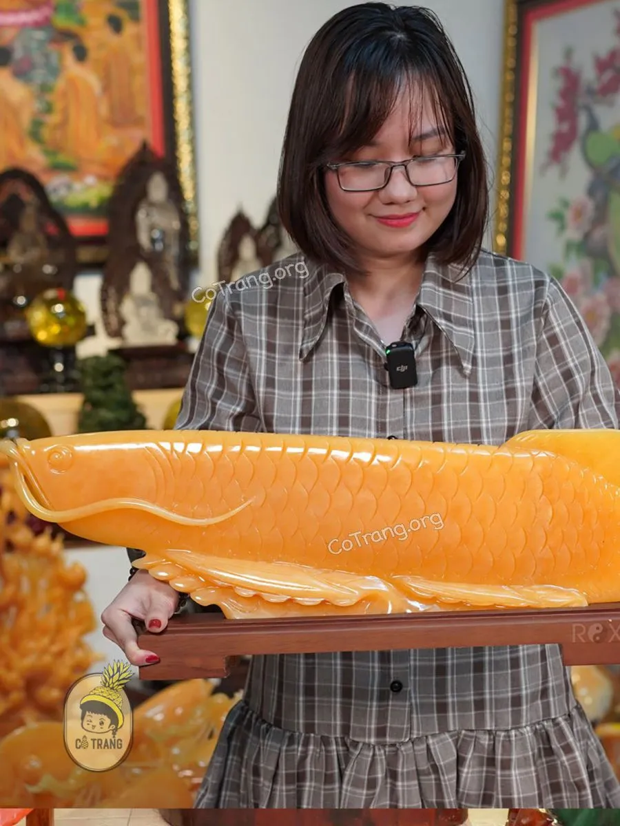 Phong thuá»· ROXI -Â 141 LÆ°Æ¡ng Tháº¿ Vinh