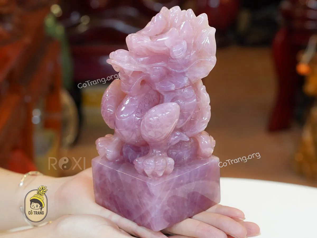 Phong thuá»· ROXI -Â 141 LÆ°Æ¡ng Tháº¿ Vinh