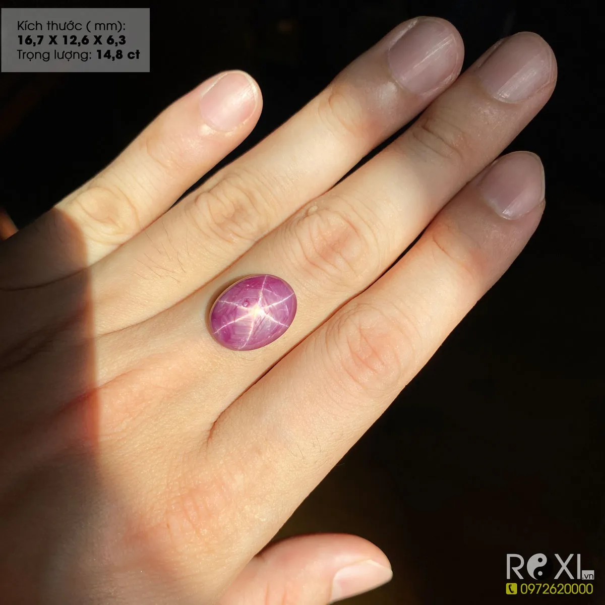 Viên Ruby sao sở hữu hiệu ứng ánh sáng sáu cánh đối xứng hoàn hảo trên bề mặt