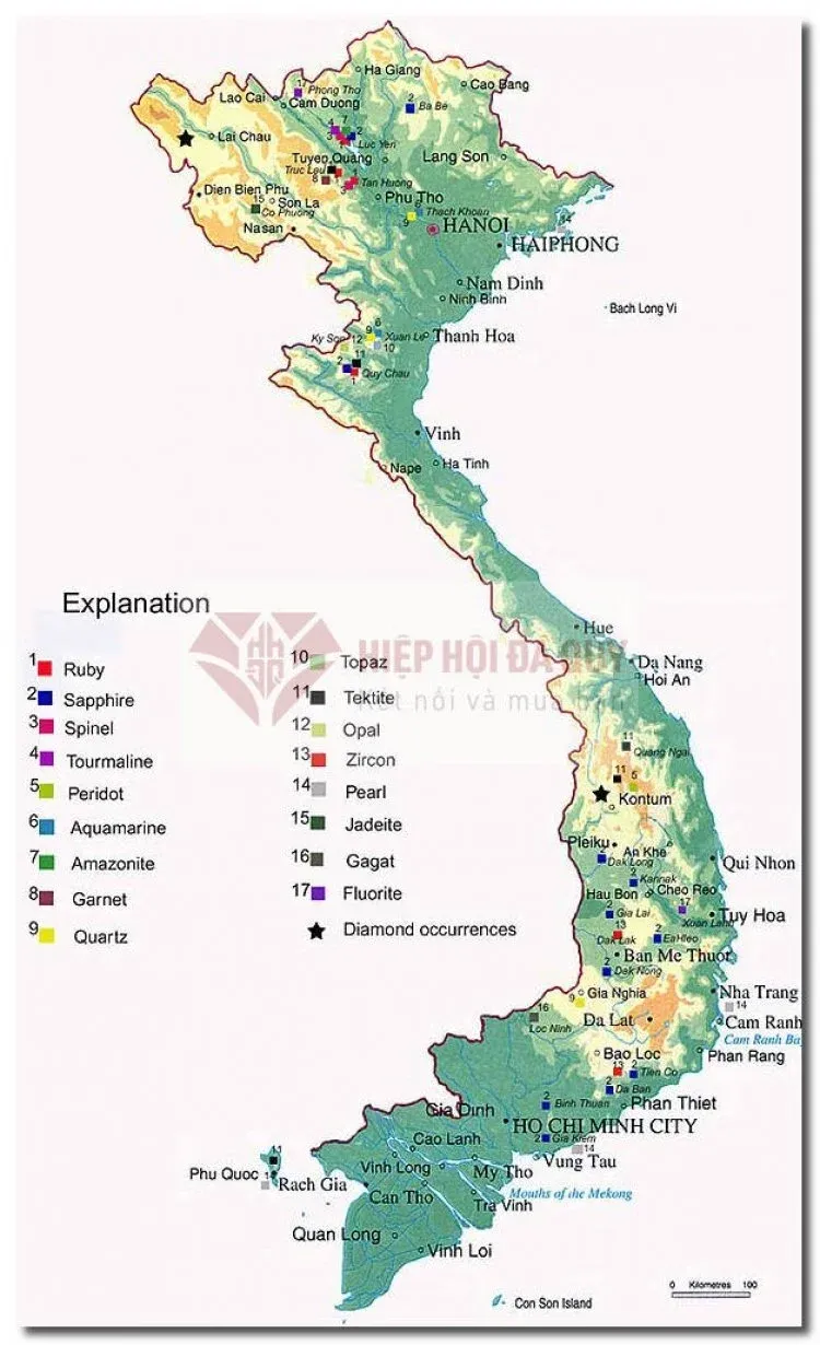 Mảnh phlogopite liên kết với tinh thể ruby dài 1,5 cm